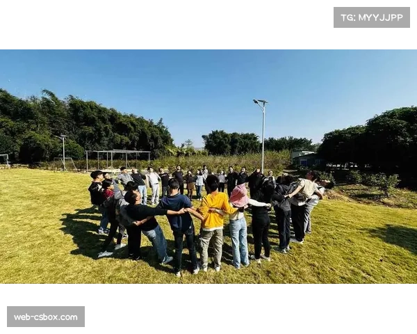 草皮维护团队的最后准备：确保开赛时场地处于最佳状态